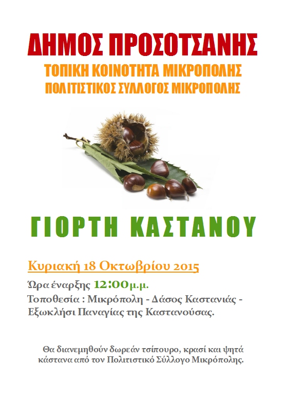 ΓΙΟΡΤΗ ΚΑΣΤΑΝΟΥ2