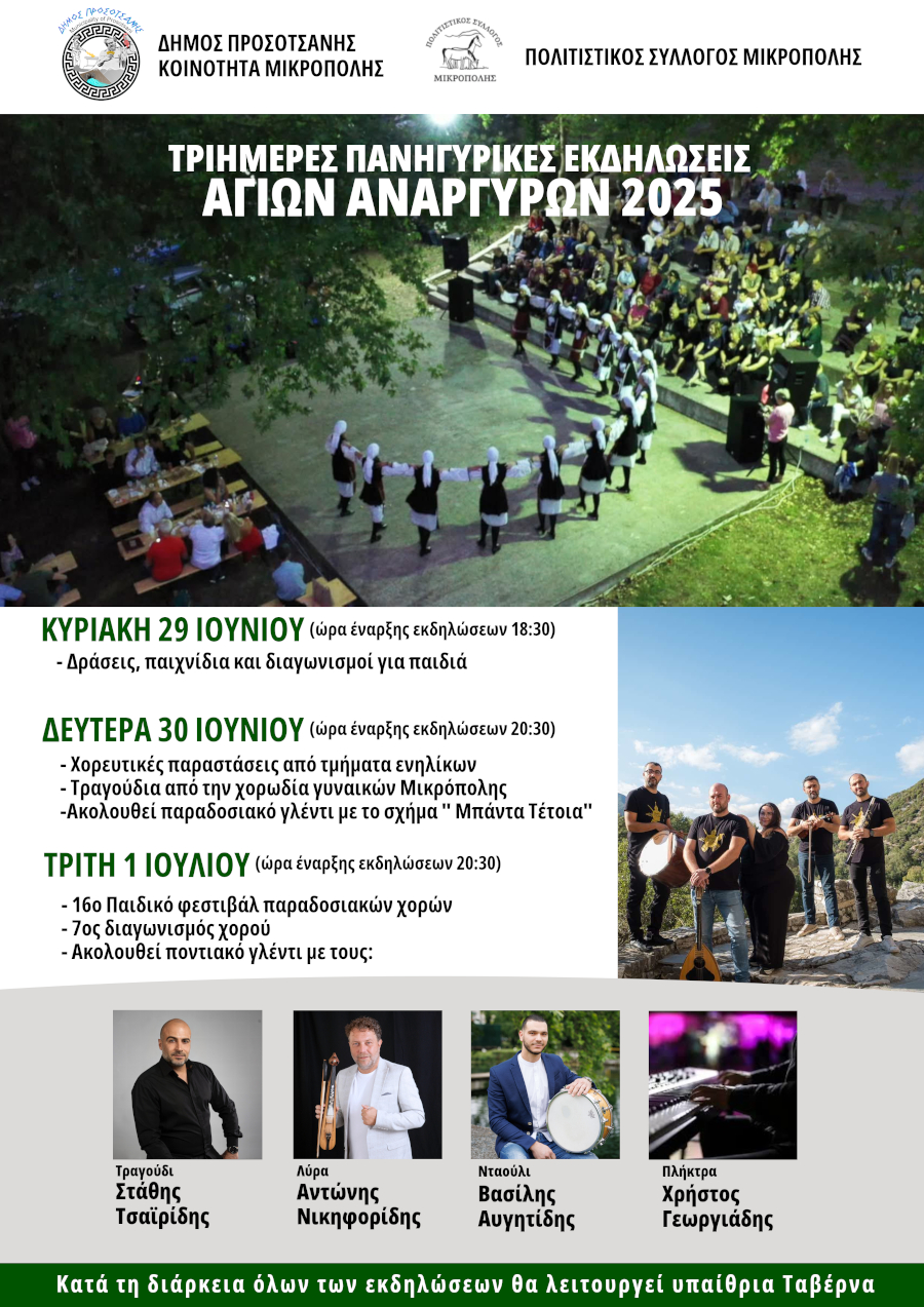 panigiri mikropoli2